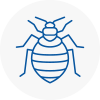 Bed Bug Extermination In Sutton Bridge