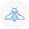 Bee Nest Removal Sutton Bridge