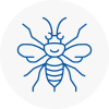 Sutton Bridge Hornet Nest Removals