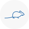 Mice Exterminators In Sutton Bridge