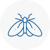 Moth Control Specialists In Sutton Bridge
