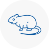 Rat Control Sutton Bridge