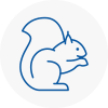 Sutton Bridge Rodent Removals