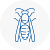 Sutton Bridge Wasp Nest Removal